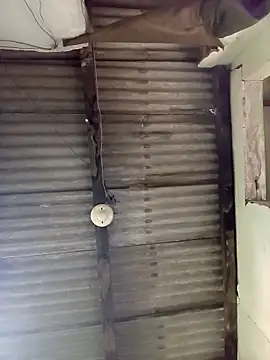 roludo2208 online show from November 20, 3:56 pm