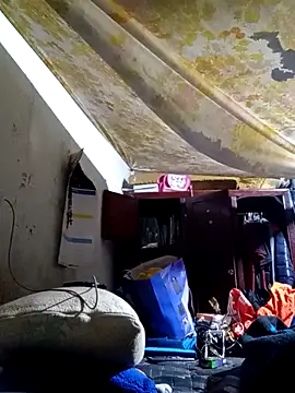 Cogelonregio online show from October 18, 4:15 am