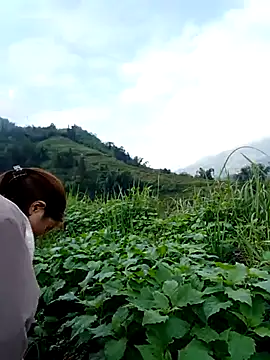 Snapshot of omai-ngot chatting on November 15, 1:14 am omai-ngot online show from November 15, 1:14 am