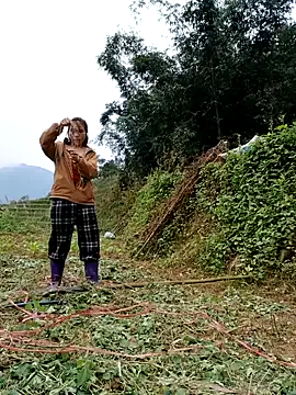 Snapshot of omai-ngot chatting on November 17, 2:17 am omai-ngot online show from November 17, 2:17 am