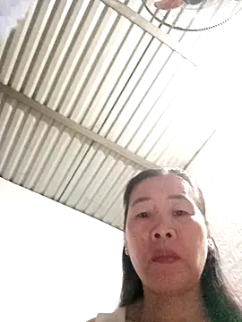 Snapshot of tabby-cat11 chatting on November 3, 1:51 am tabby-cat11 online show from November 3, 1:51 am