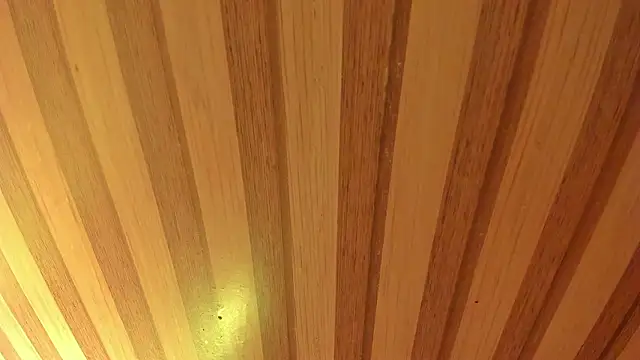 mia  blaze   online show from March 20, 3:11 am