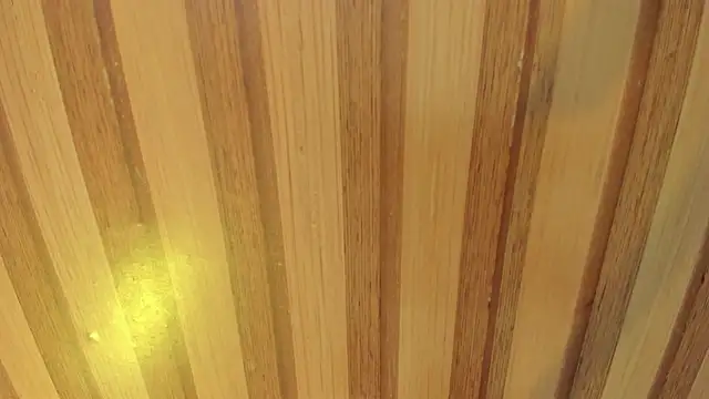 mia  blaze   online show from April 8, 2:55 am