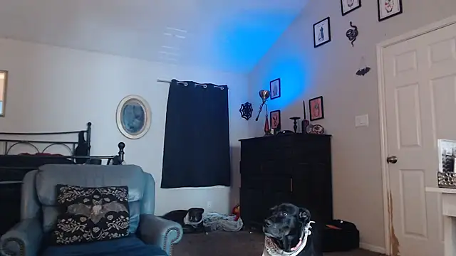 ImKatMeow online show from February 9, 5:17 pm