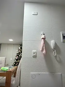 Snapshot of _Alicee_1 chatting on December 18, 2:06 am Alicee 1 online show from December 18, 2:06 am