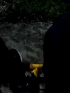 Snapshot of roludao_fun chatting on November 5, 10:32 pm roludao fun online show from November 5, 10:32 pm