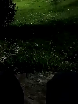 Snapshot of roludao_fun chatting on November 10, 10:42 pm roludao fun online show from November 10, 10:42 pm