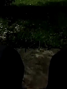 Snapshot of roludao_fun chatting on November 11, 10:54 pm roludao fun online show from November 11, 10:54 pm