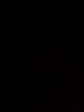 Snapshot of roludao_fun chatting on November 17, 12:55 pm roludao fun online show from November 17, 12:55 pm