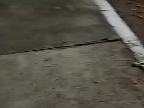 Snapshot of roludao_fun chatting on December 4, 10:07 pm roludao fun online show from December 4, 10:07 pm