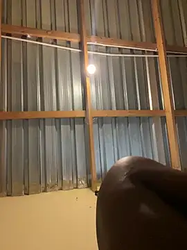 solodrive online show from February 24, 10:13 am