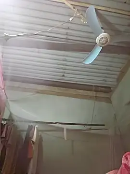 Snapshot of Squirrel-Pear chatting on November 19, 2:39 pm Squirrel-Pear online show from November 19, 2:39 pm