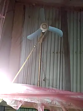 Snapshot of Squirrel-Pear chatting on December 4, 12:25 pm Squirrel-Pear online show from December 4, 12:25 pm