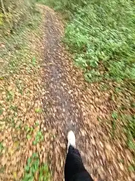 Snapshot of bbyxklaus chatting on November 6, 12:28 pm bbyxklaus online show from November 6, 12:28 pm