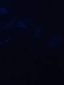 Cedric7653 online show from February 28, 12:44 am