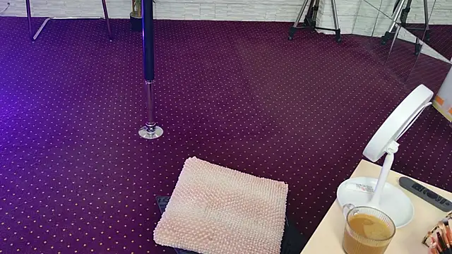 Snapshot of IvorySwan chatting on November 4, 5:28 am IvorySwan online show from November 4, 5:28 am