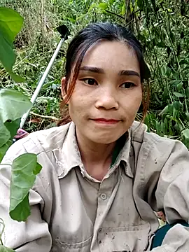 Bear bear0 online show from November 3, 7:31 am