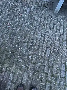 Snapshot of bart98geil chatting on February 14, 6:54 am bart98geil online show from February 14, 6:54 am