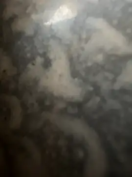 Snapshot of bart98geil chatting on February 16, 7:26 am bart98geil online show from February 16, 7:26 am