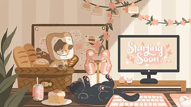 geekycastillo online show from January 9, 4:48 am