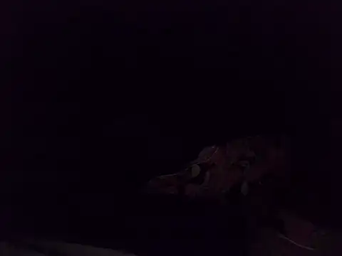 Snapshot of boldiva89 chatting on October 25, 1:35 am boldiva89 online show from October 25, 1:35 am