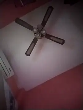 Snapshot of Danii2005 chatting on November 6, 1:34 pm Danii2005 online show from November 6, 1:34 pm