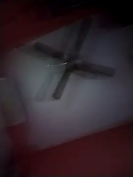 Snapshot of Danii2005 chatting on November 25, 8:09 pm Danii2005 online show from November 25, 8:09 pm