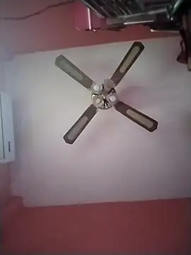 Snapshot of Danii2005 chatting on December 17, 5:30 pm Danii2005 online show from December 17, 5:30 pm