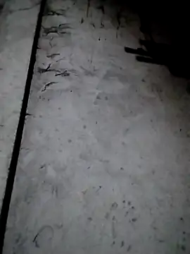 Snapshot of rickkis2k chatting on December 13, 9:53 pm rickkis2k online show from December 13, 9:53 pm