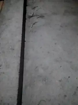 Snapshot of rickkis2k chatting on December 16, 10:15 pm rickkis2k online show from December 16, 10:15 pm