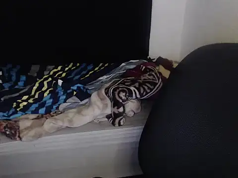 Snapshot of Negritatata chatting on November 28, 11:13 am Negritatata online show from November 28, 11:13 am