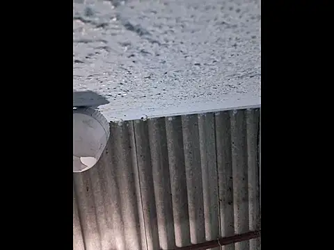 666Daemon666 online show from April 10, 8:08 am