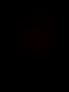 Chripish online show from November 4, 2:27 pm