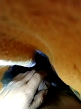 juanpi202535 online show from November 11, 2:55 am