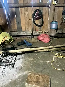 Snapshot of nachi-baby chatting on December 14, 8:52 am nachi-baby online show from December 14, 8:52 am