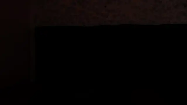 Snapshot of SavageLover_ chatting on November 6, 3:51 am SavageLover online show from November 6, 3:51 am