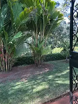 BubblesLovexox online show from April 4, 12:57 pm