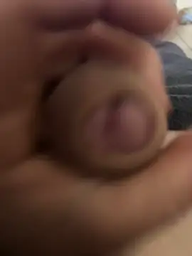 Snapshot of grossebite12335 chatting on November 21, 9:08 am grossebite12335 online show from November 21, 9:08 am