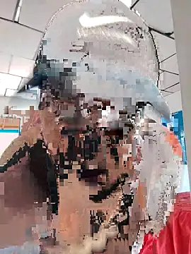 LAPOTRA 04 online show from April 1, 4:15 pm