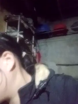 Snapshot of Noelle-e chatting on February 3, 11:15 am Noelle-e online show from February 3, 11:15 am