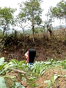 Snapshot of Noelle-e chatting on April 7, 10:26 am Noelle-e online show from April 7, 10:26 am