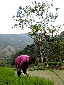 Snapshot of Noelle-e chatting on April 11, 10:41 am Noelle-e online show from April 11, 10:41 am