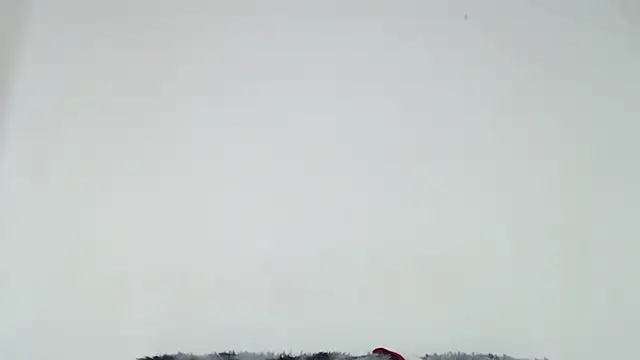 Snapshot of Mia_fox29 chatting on October 31, 1:01 pm Mia fox29 online show from October 31, 1:01 pm