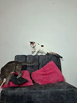 Snapshot of Mia_fox29 chatting on November 13, 11:20 am Mia fox29 online show from November 13, 11:20 am