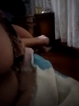 pampa4456 online show from December 16, 5:23 am