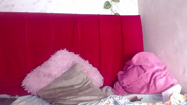 Snapshot of amandacanelacm chatting on February 1, 12:48 pm amandacanelacm online show from February 1, 12:48 pm