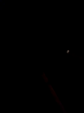 bella-la online show from January 15, 10:57 pm