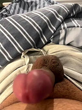 CurvyDicky8 online show from December 1, 11:21 pm