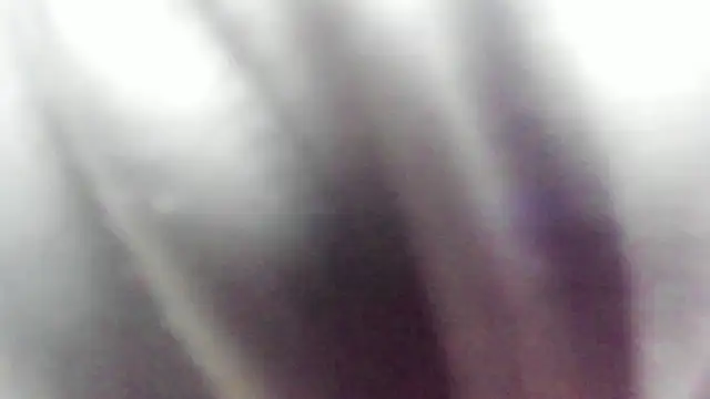 wild best online show from February 16, 3:19 pm