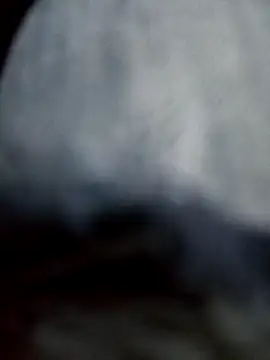 Snapshot of negro2828 chatting on October 27, 10:58 pm negro2828 online show from October 27, 10:58 pm